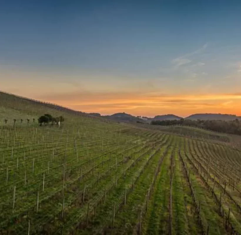 vale-dos-vinhedos