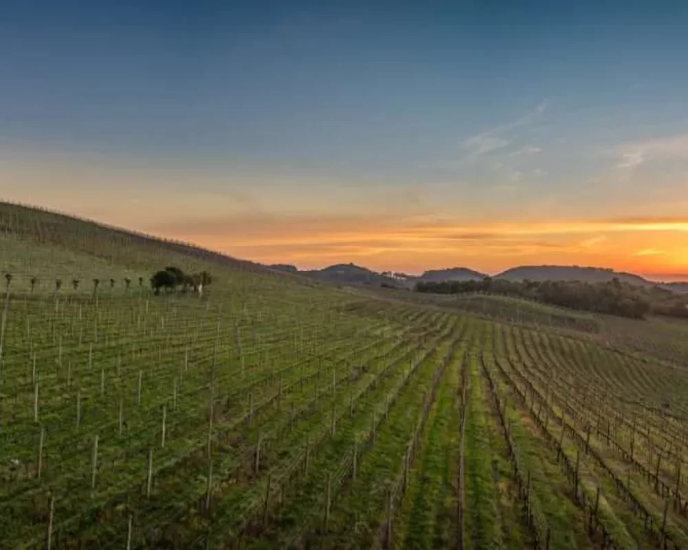 vale-dos-vinhedos